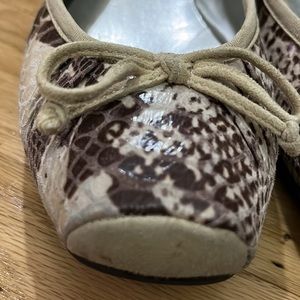Jessica Simpson size 8 snakeskin brown/beige suede bow and inside edge of shoe